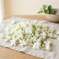 Jasmine Loose