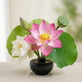 Lotus (Pink/White)