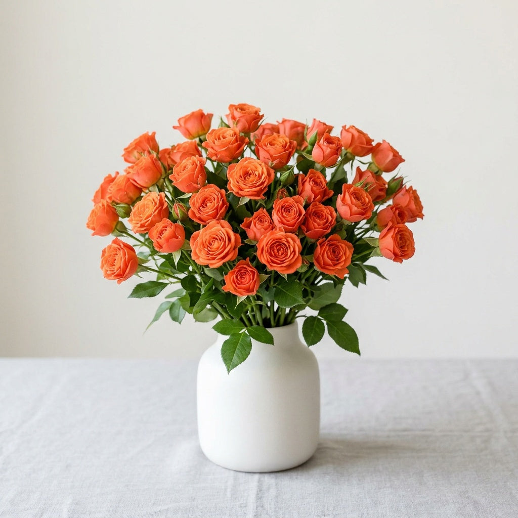 Orange Button Roses